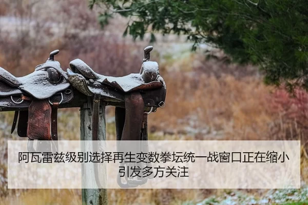 阿瓦雷兹级别选择再生变数拳坛统一战窗口正在缩小引发多方关注