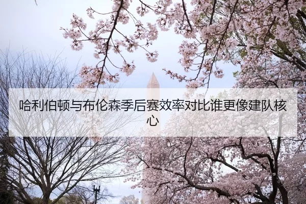 哈利伯顿与布伦森季后赛效率对比谁更像建队核心